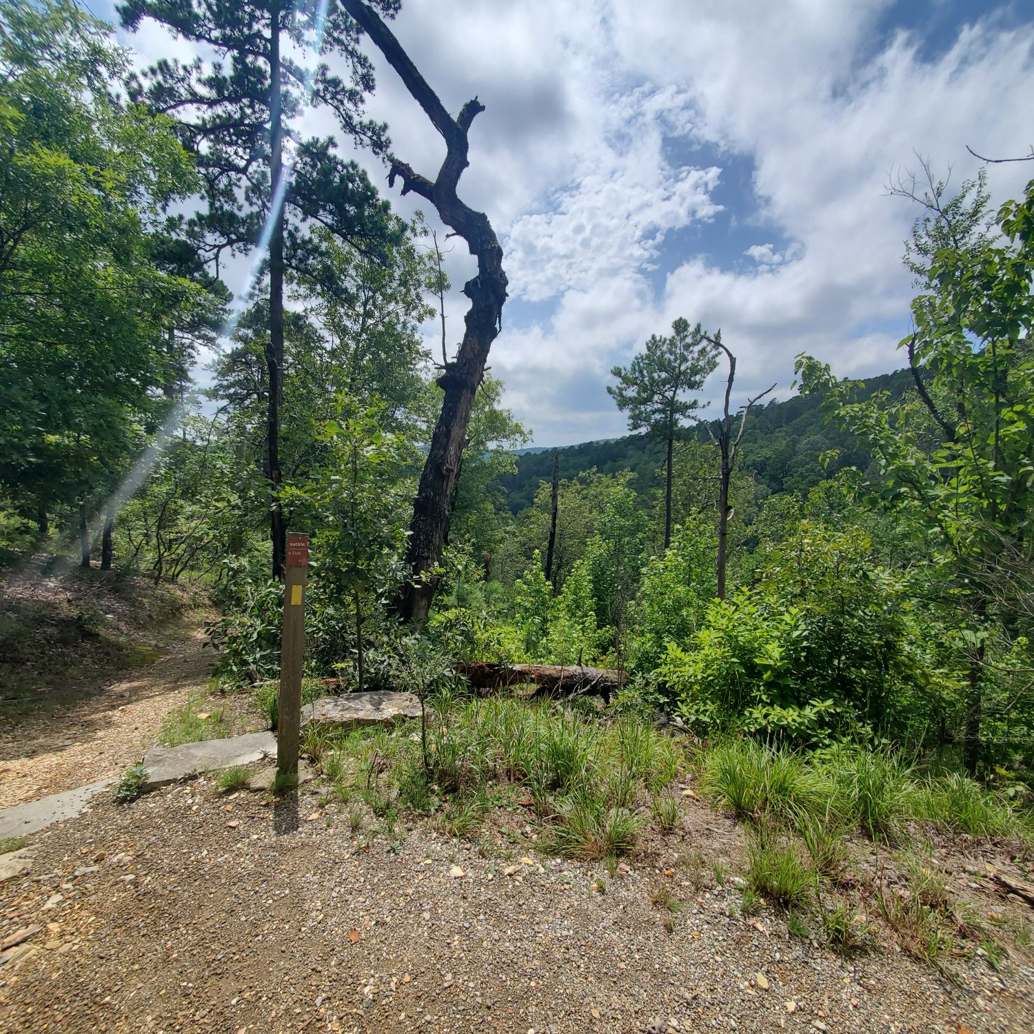 Hot Springs National Park 